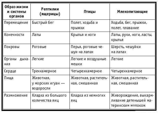 Класс млекопитающие: отряды, главные признаки зверей, образ жизни и примеры - tarologiay.ru