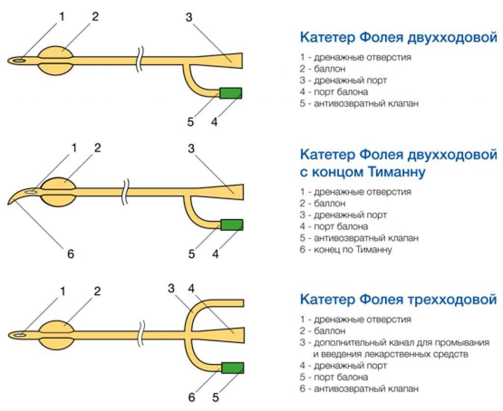 Дисковая филомена баллон, или красноглазая моэнкаузия moenkhausia sanctaefilomenae
