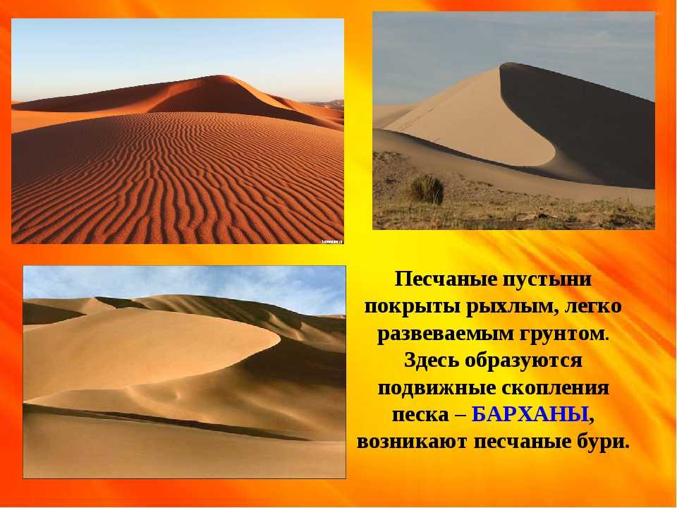Гремучая змея. описание, особенности, виды, образ жизни и среда обитания гремучей змеи