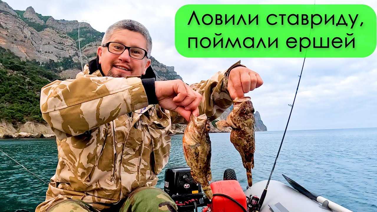 Король-рыба или каранкс. семейство ставридовые (carangidae)