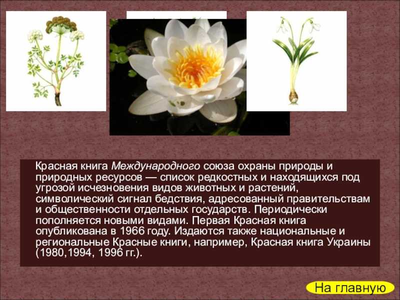 Что такое красная книга мсоп? красный список мсоп красная книга мсоп