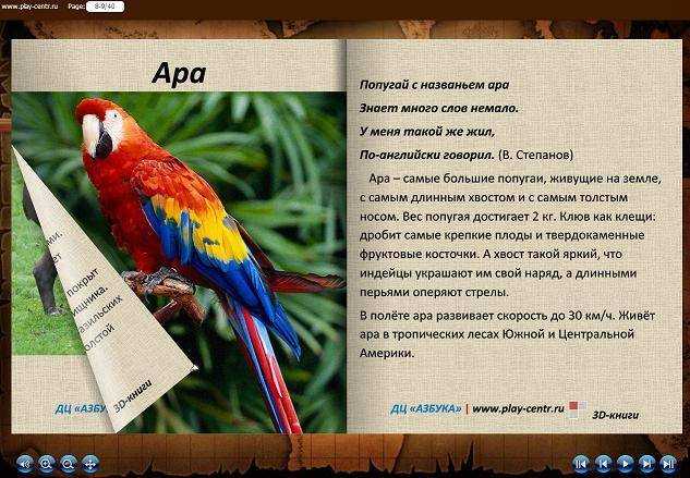 Виды попугаев ара