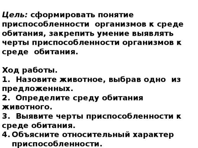 Снежный баран (толсторог, чубук) - фото и описание, красная книга, где обитает и как выглядит