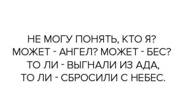Рыбы-ангелы