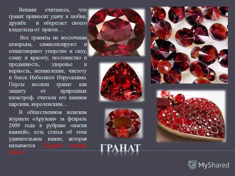 Виды кораллов и их взаимодействие с человеком