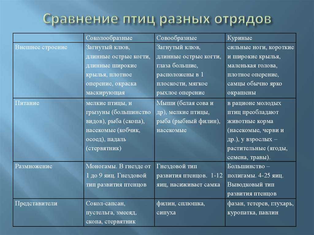 Отряд Журавлеобразные Gruiformes объединяет разнообразных по внешнему виду, особенностям внутреннего строения и образу жизни птиц, размеры которых колеблются от 15-20 см до почти двух метров Систематика отряда Журавлеобразные