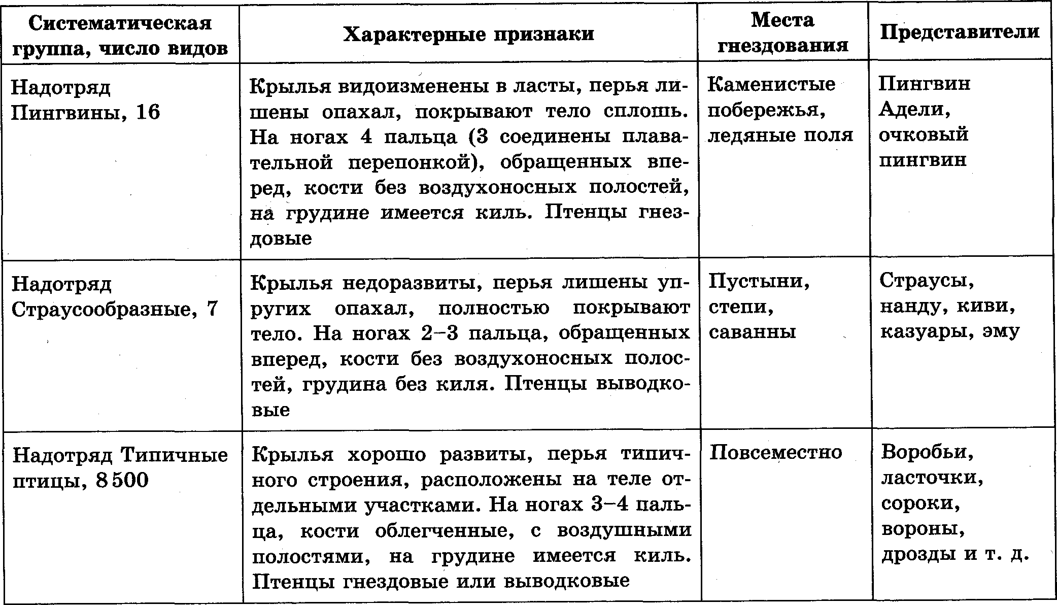 Дрофа: внешний вид, чем питается, ареал, гнездование, фото, видео