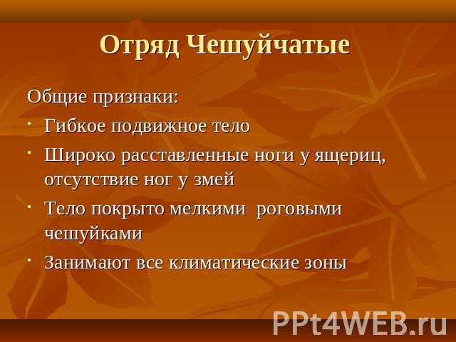 10 самых больших ящериц в мире