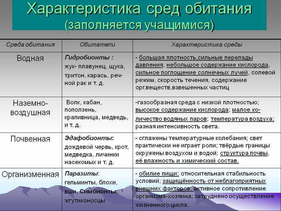 Песчанка — правильный уход и содержание в домашних условиях