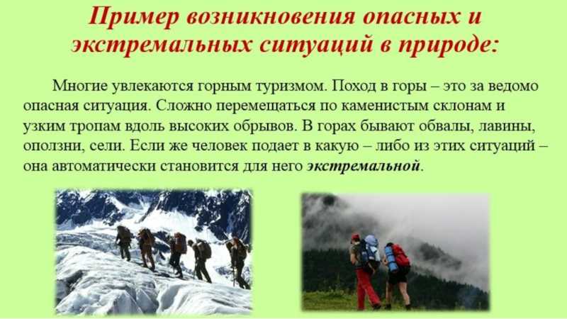 Гремучая змея: внешний вид, фото, особенности, интересные факты, среда обитания