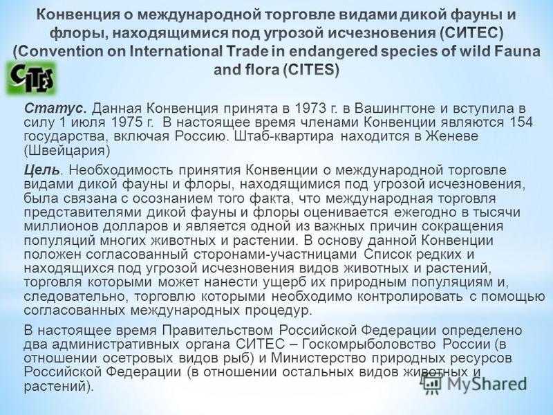 Виды маленьких черепах и правила их содержания