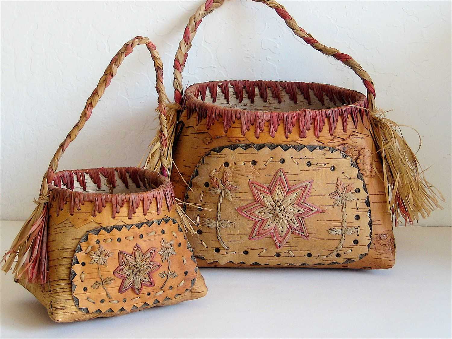 Кузовок белопятнистый — aqa.wiki
