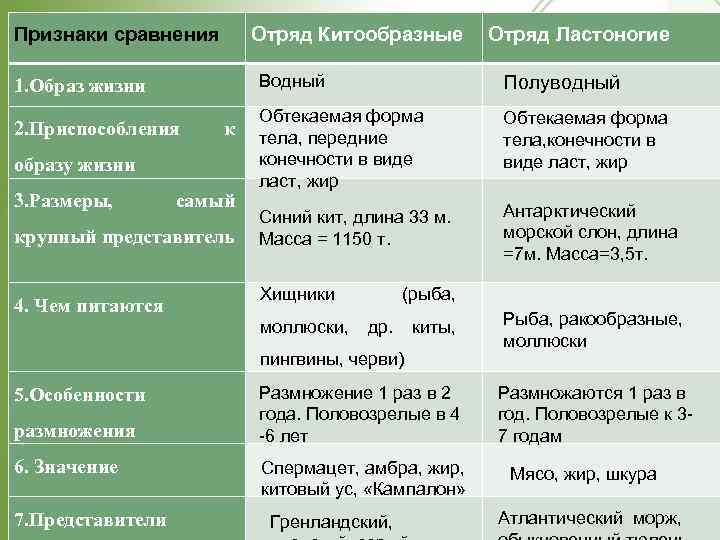 Млекопитающие животные – список и описание отрядов