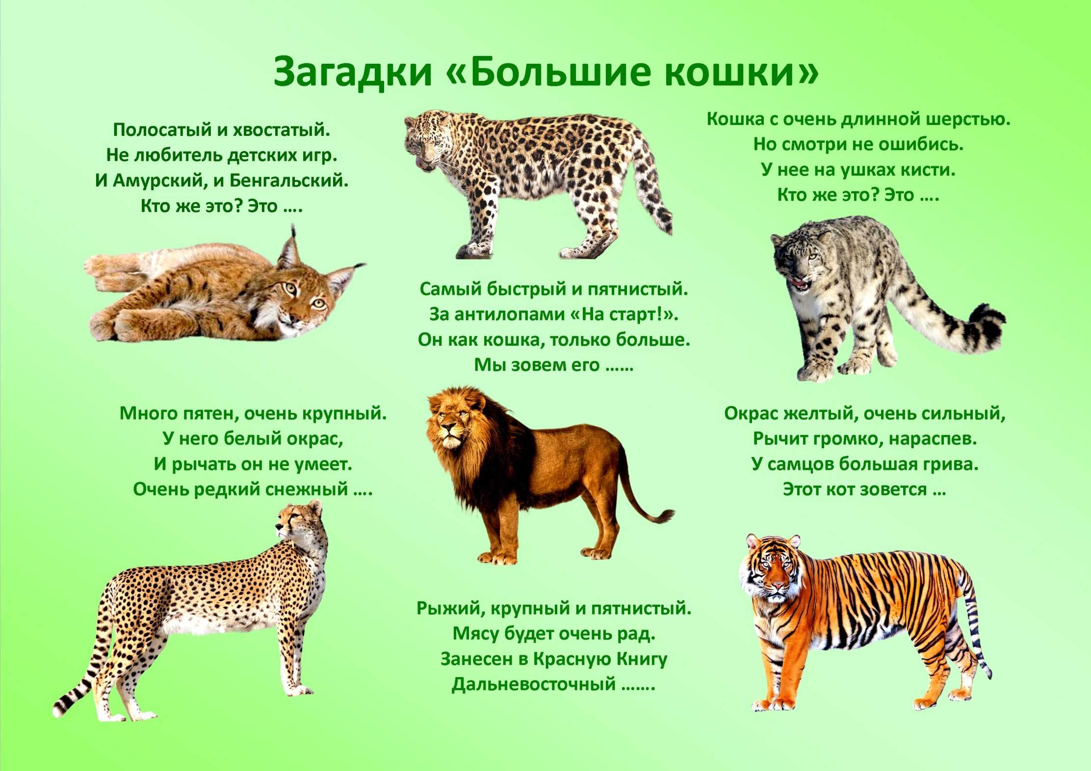 Лев: характеристика знака зодиака