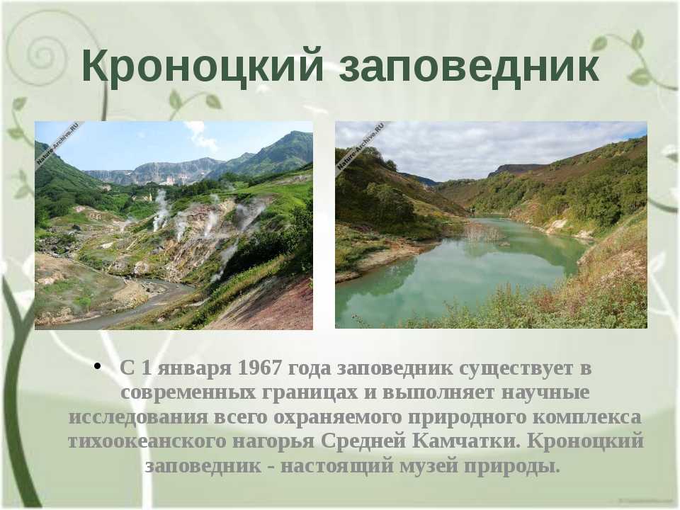  птицы материков, рек, озер, морей и побережий