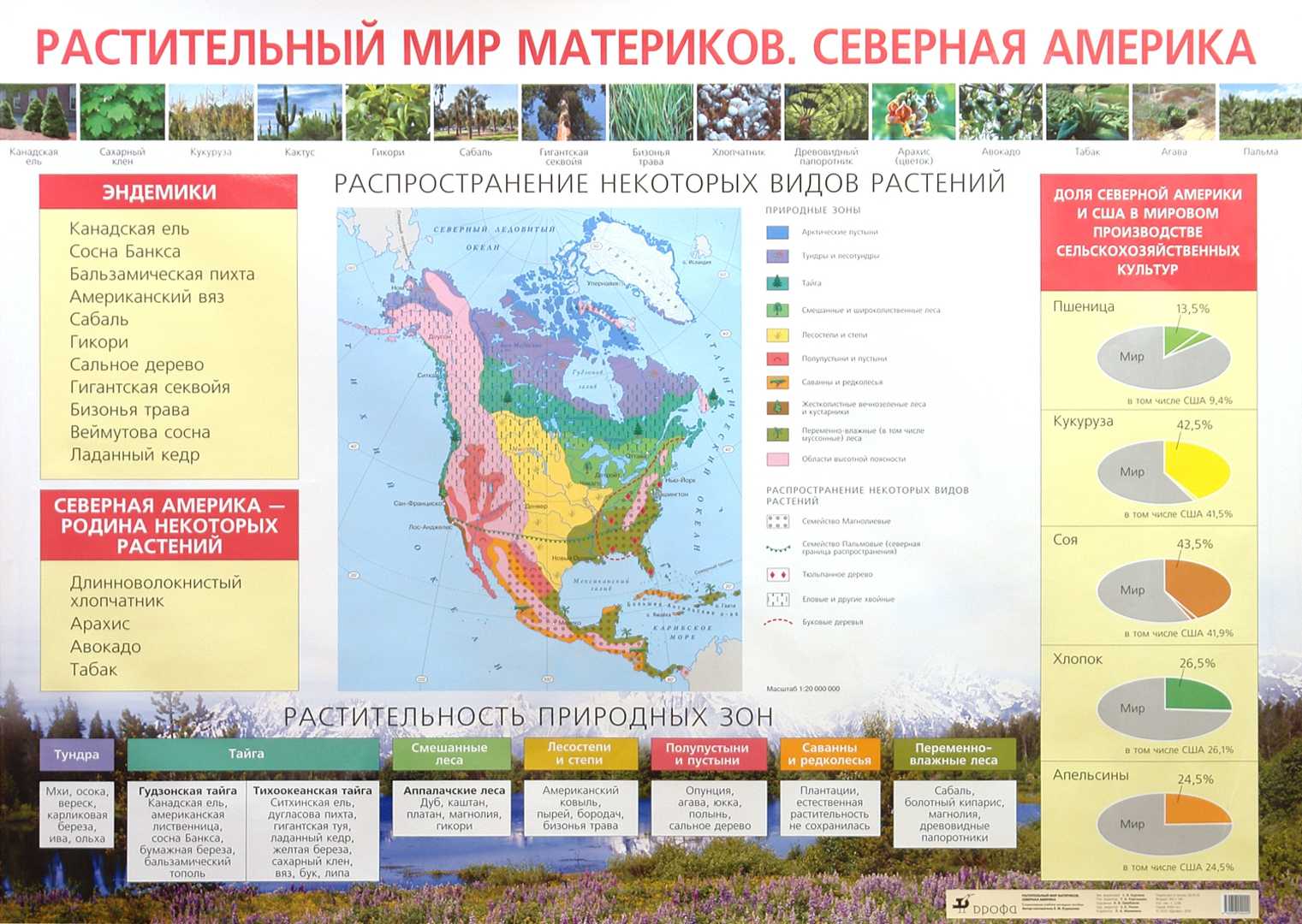 Растения северной америки: редкие и исчезающие виды и заповедники - tarologiay.ru