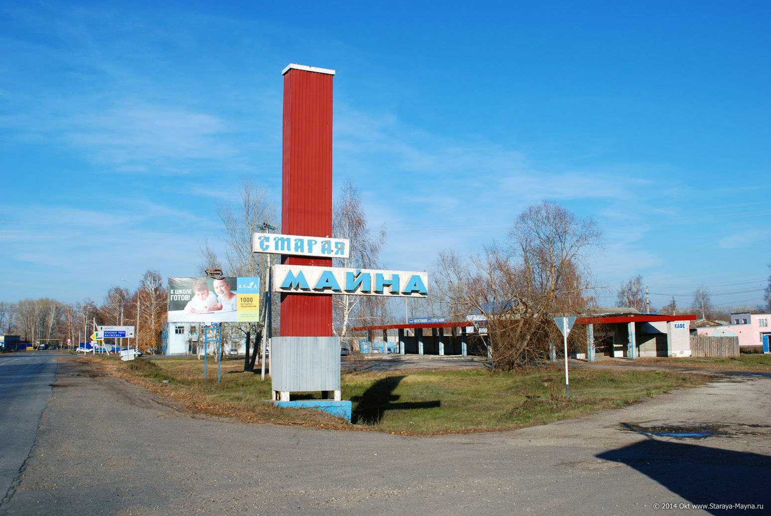 Виды кузнечиков – насекомых, поющих крыльями и слушающих ногами 