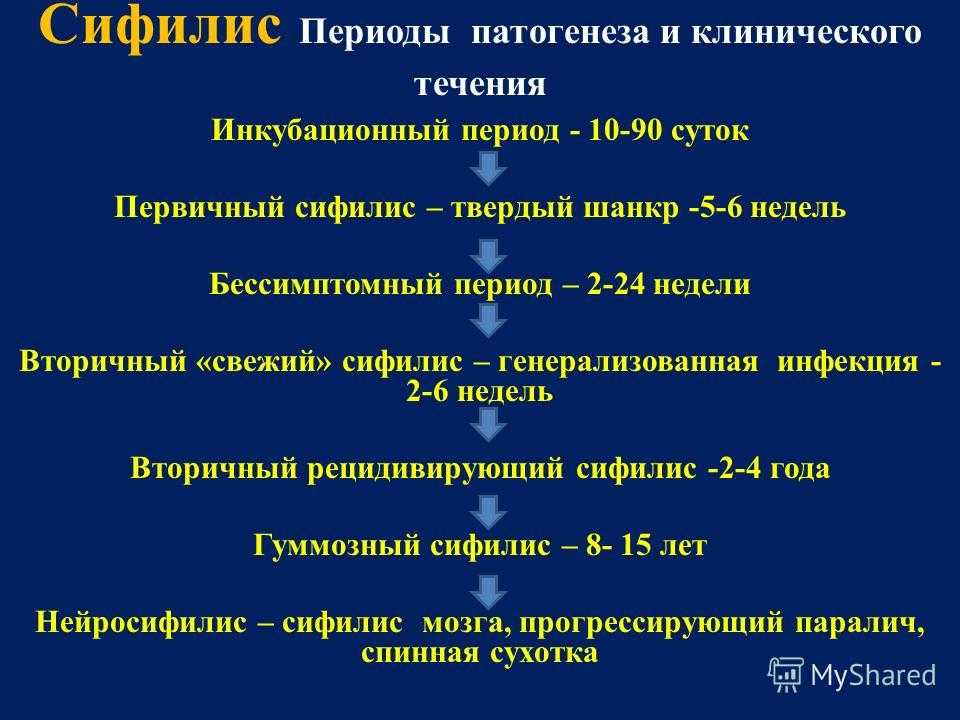 Сифака кокереля — энциклопедия руниверсалис