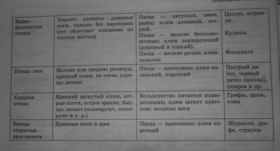 Характерные особенности отряда журавлеобразные класса птицы 7 класс презентация, доклад, проект