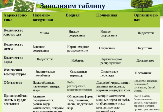Песчанка - фото, уход и содержание за мышью в домашних условиях, сколько они живут | beauty-line14a.ru