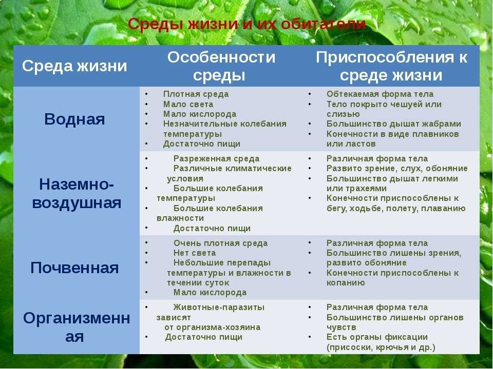 Песочники — википедия wikizero