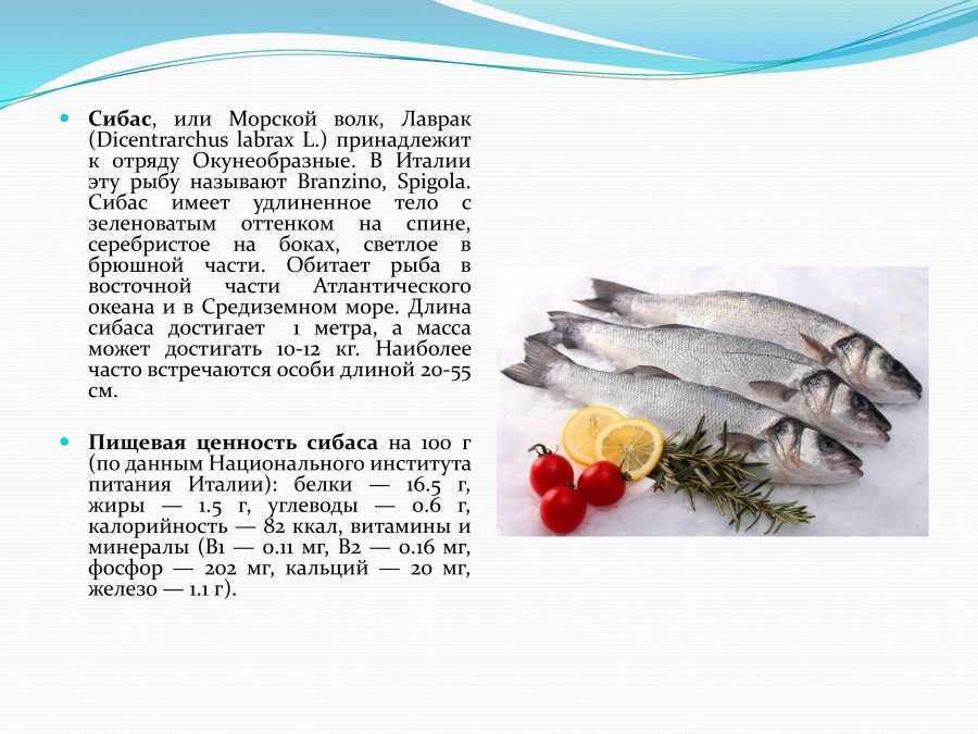 Рыбка бычок пчелка, брахигобиус бледный, бычок бледный (brachygobius doriae)