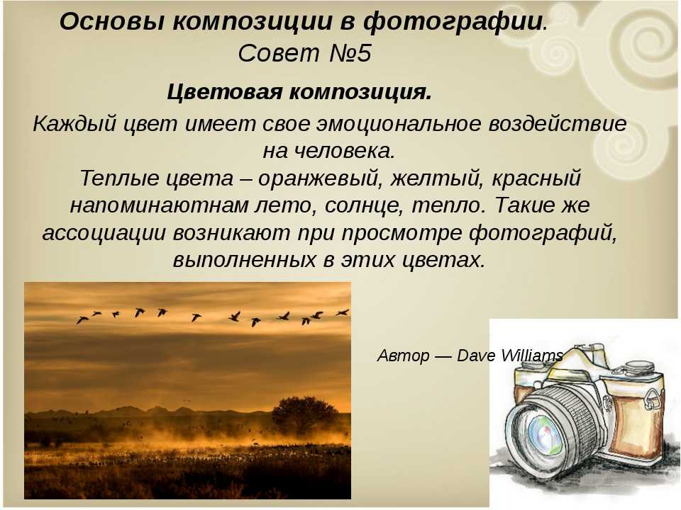 Золотой час в фотографии