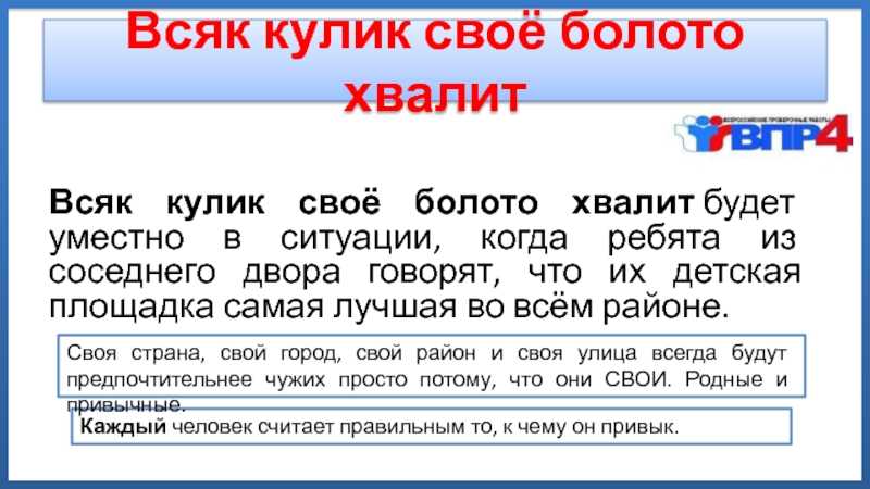 Кулик-сорока: фото, описание птицы