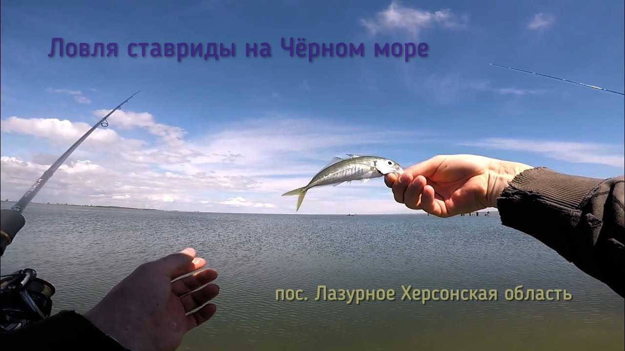 Лихия рыба как приготовить
