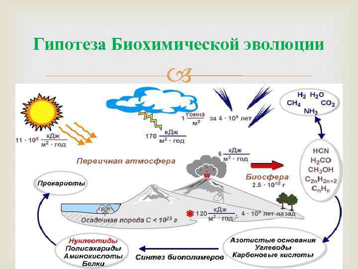 Лопатонос обыкновенный. все о необычной рыбе