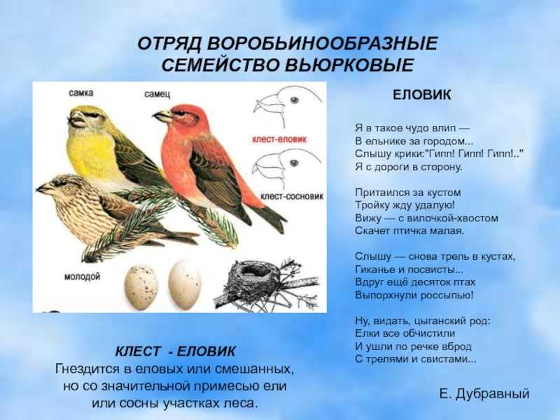 Биология