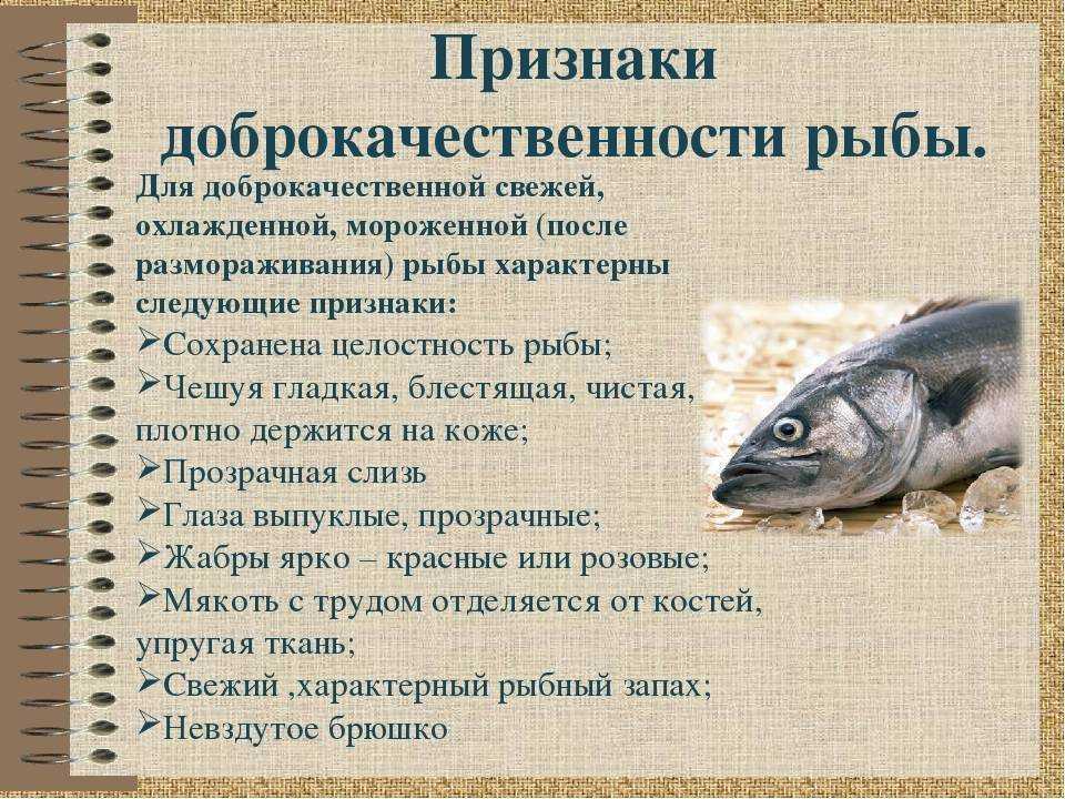 Бычок - реликтовая рыба
