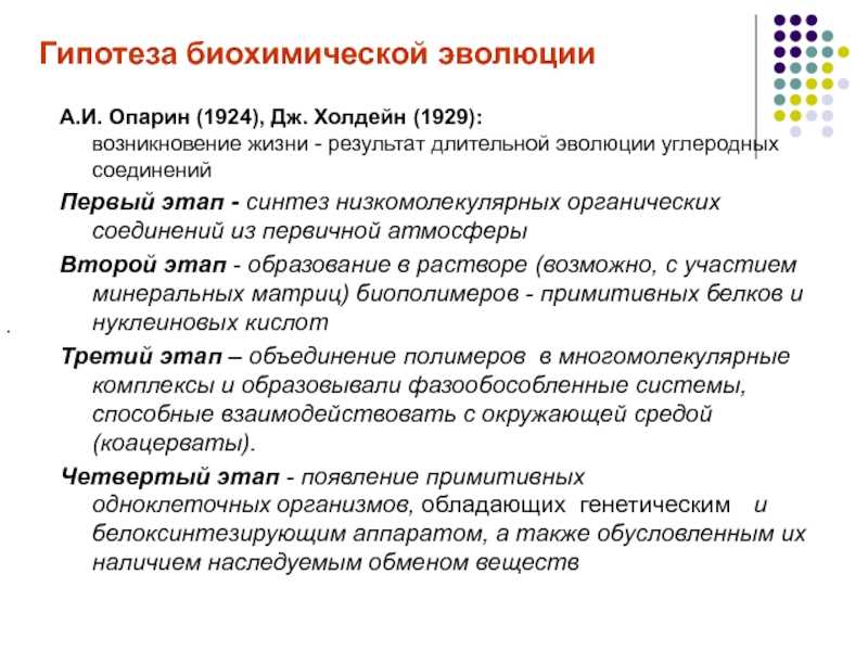 Анадара броутоний - abcdef.wiki