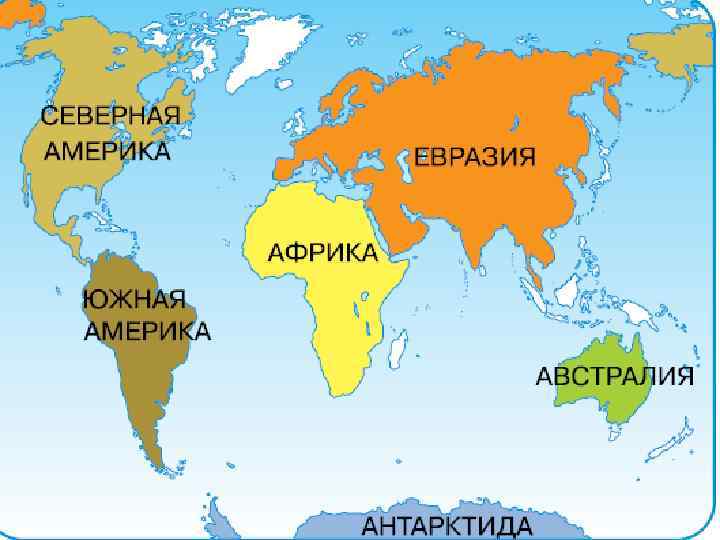 Животный мир россии — список, виды, названия, описание и фото