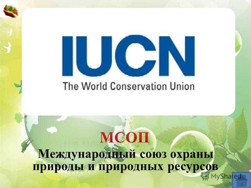 Когда был создан союз охраны природы. Международный Союз охраны природы и природных ресурсов. Международный Союз охраны природы эмблема. Международный Союз охраны природы (МСОП; IUCN. МСОП логотип.