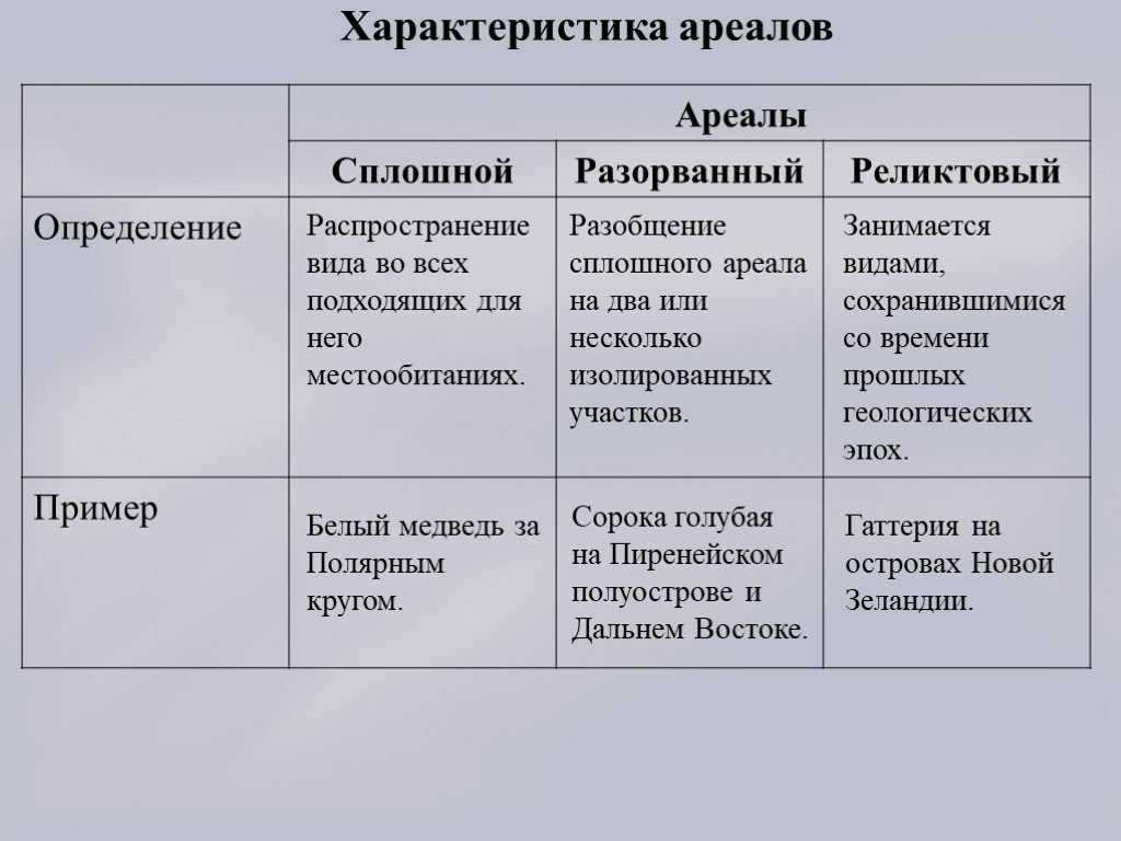 Бекасовые
