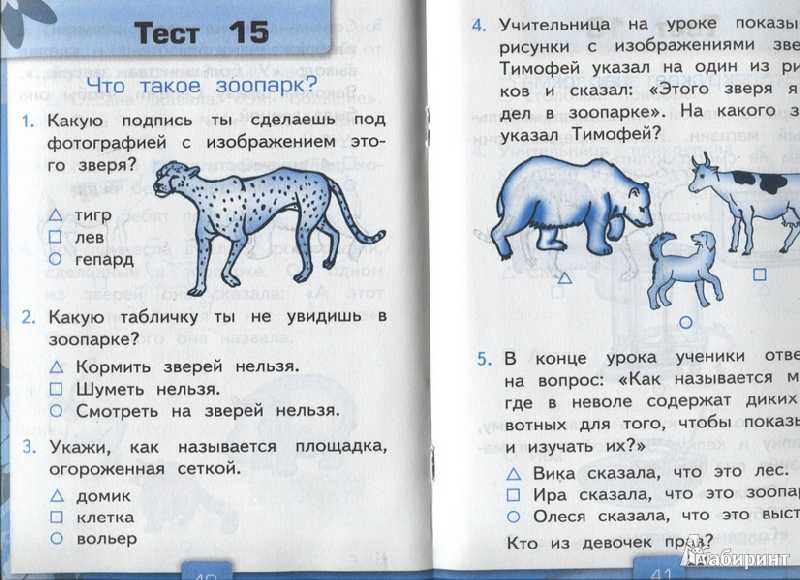 Где искать зайца в морозный день. как тропить зайца зимой. охота на зайца - из личного опыта