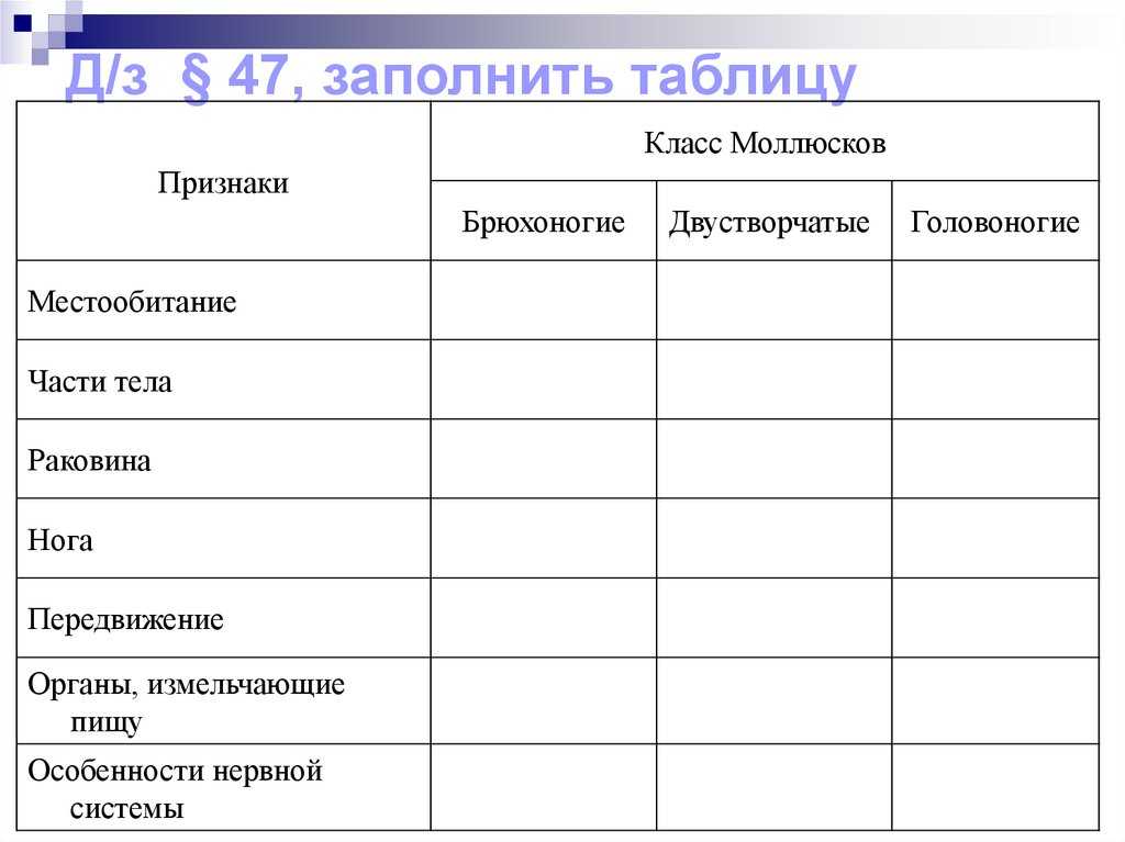 Класс брюхоногие — среда обитания, признаки и особенности строения представителей