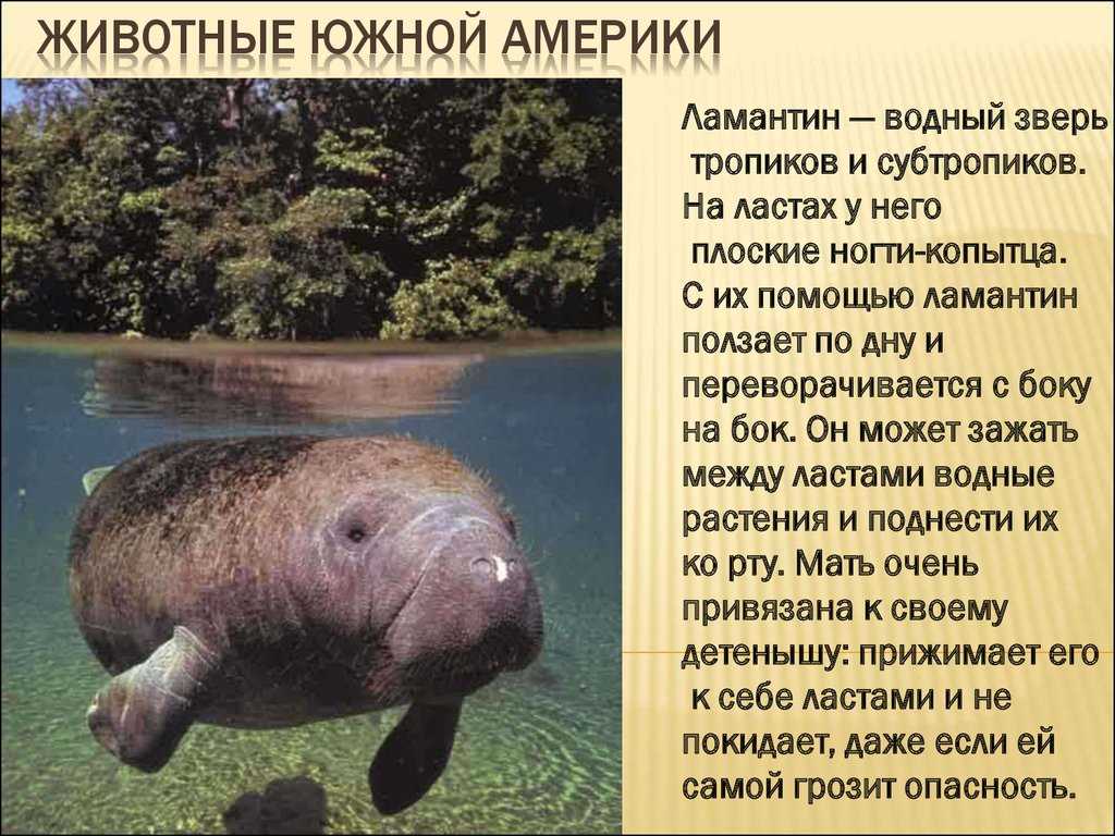 Геологические эры и хроники земли