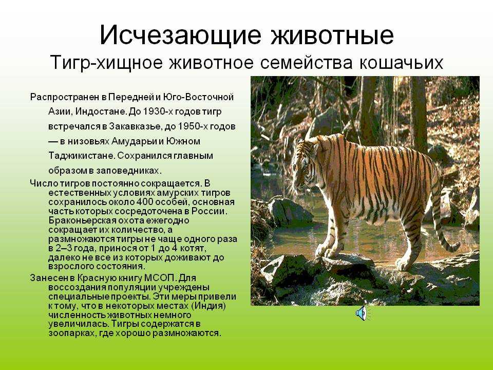 Голубая антилопа Hippotragus leucophaeus — вымерший африканский вид полорогих Bovidae из подсемейства саблерогих антилоп