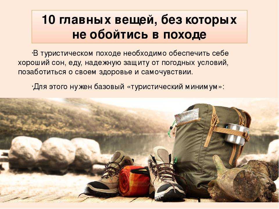 Гремучая змея: фото, внешний вид, описание, яд, чем опасна