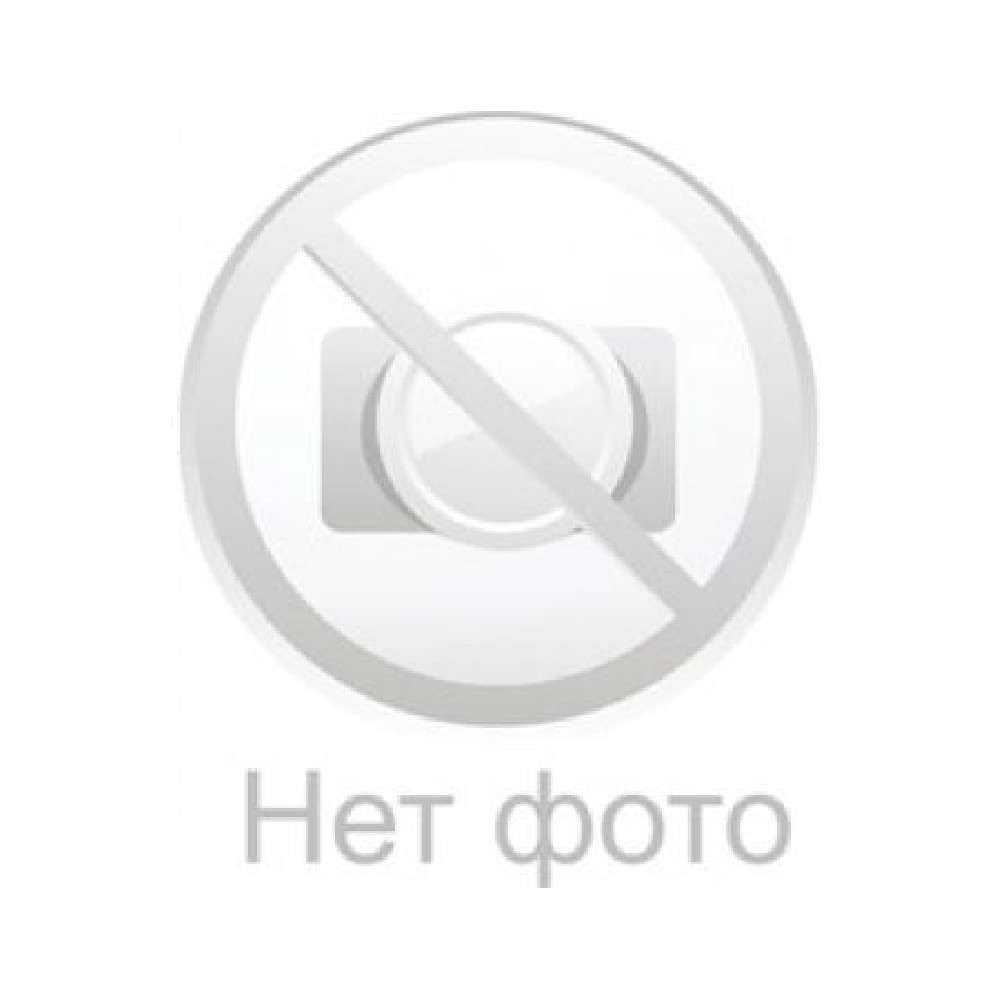 Сумчатая крыса: виды, описание