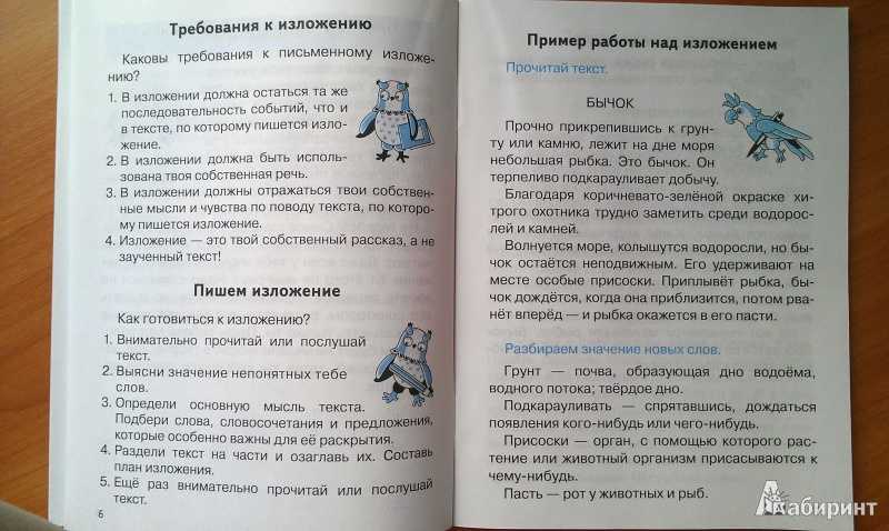Где искать зайца в морозный день. как тропить зайца зимой. охота на зайца - из личного опыта