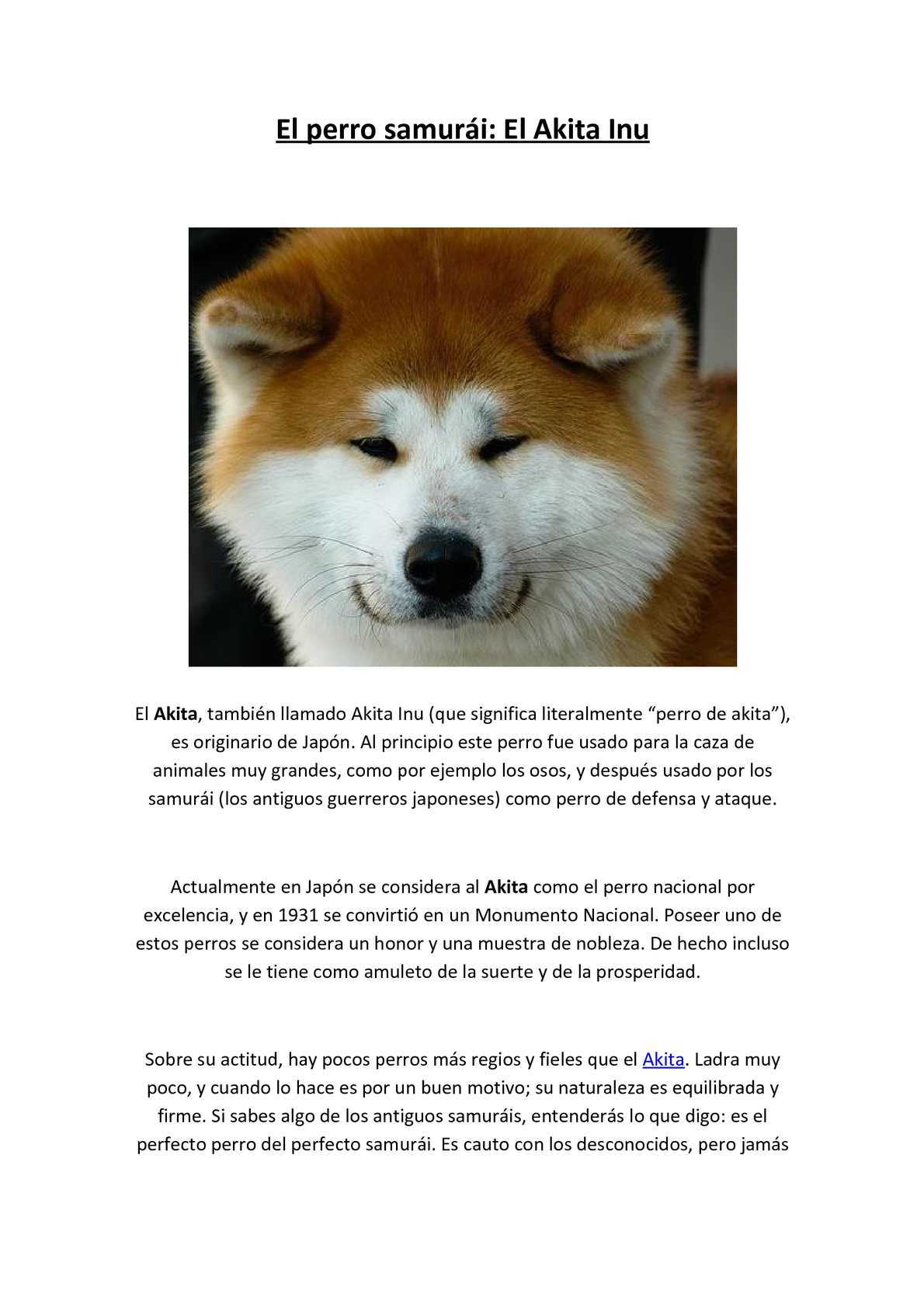 Акита-ину: фото, описание, характер, содержание, отзывы