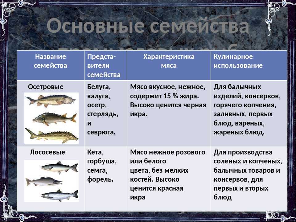 Сколько классов рыб. Основные семейства промысловых рыб. Характеристика основных семейств промысловых рыб. Основные семейства промысловых рыб таблица. Промысловые рыбы таблица.