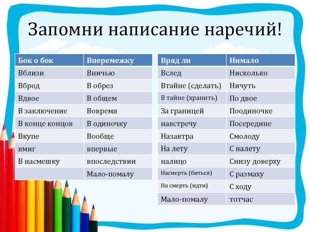 Ночные обитатели леса. ночные животные — характеристика, происхождение, адаптации и примеры животные которые ведут ночной образ жизни список