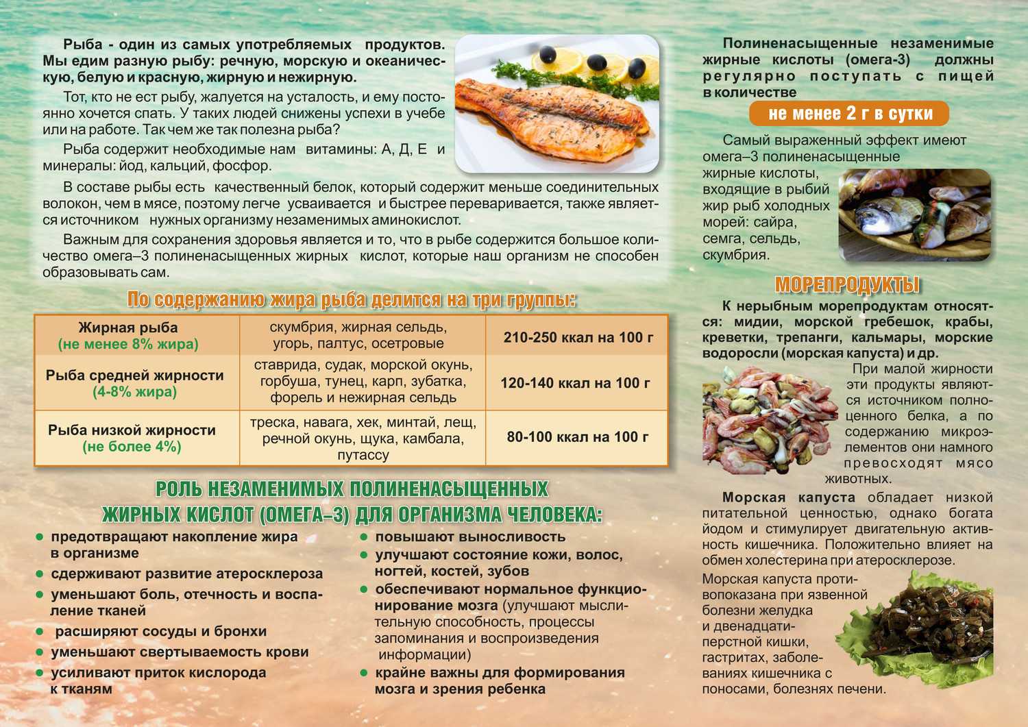 Характеристики абердина – ангусской породы быков