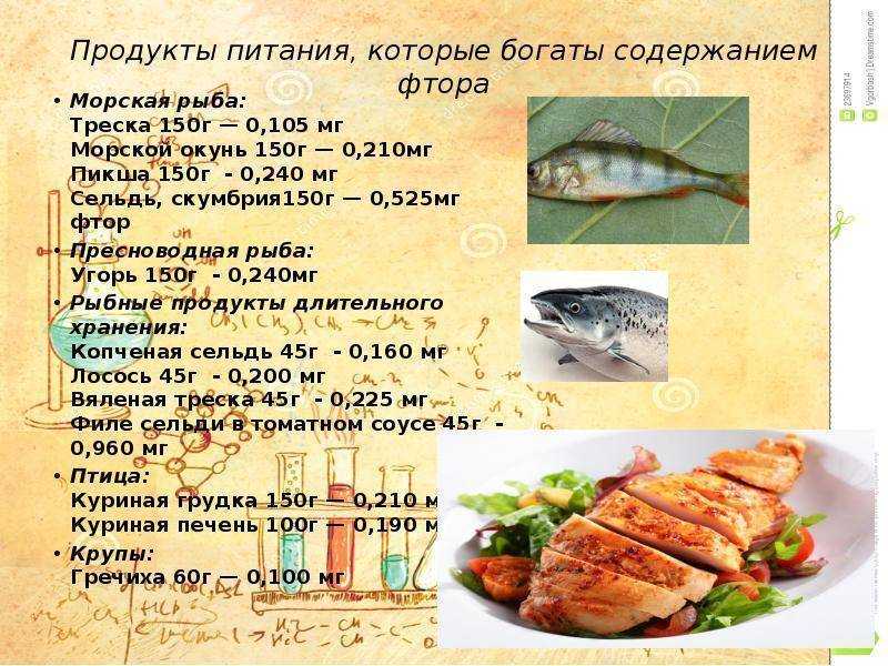 Рыба бычок. описание, особенности, виды, образ жизни и среда обитания рыбы бычок