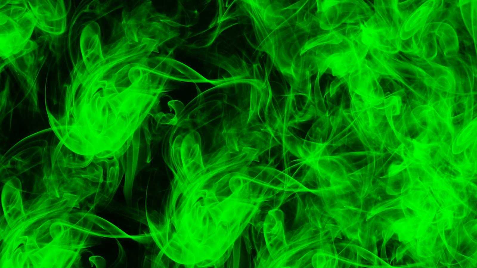Обыкновенная зеленая сорока - common green magpie - dev.abcdef.wiki